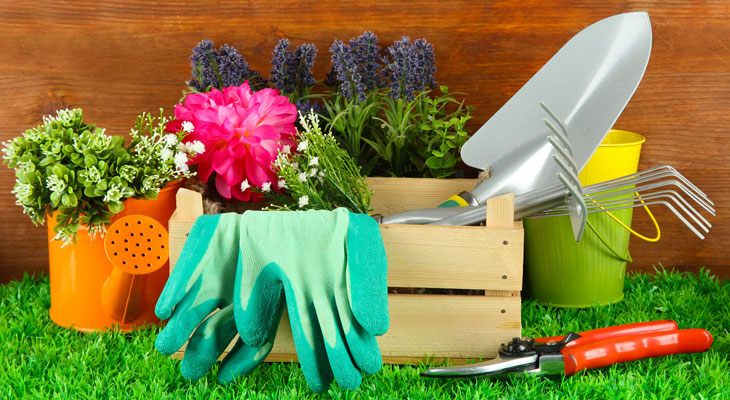 5-tips-de-jardineria-para-principiantes