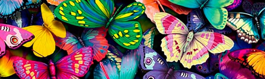 Mariposario Cerro La Vieja