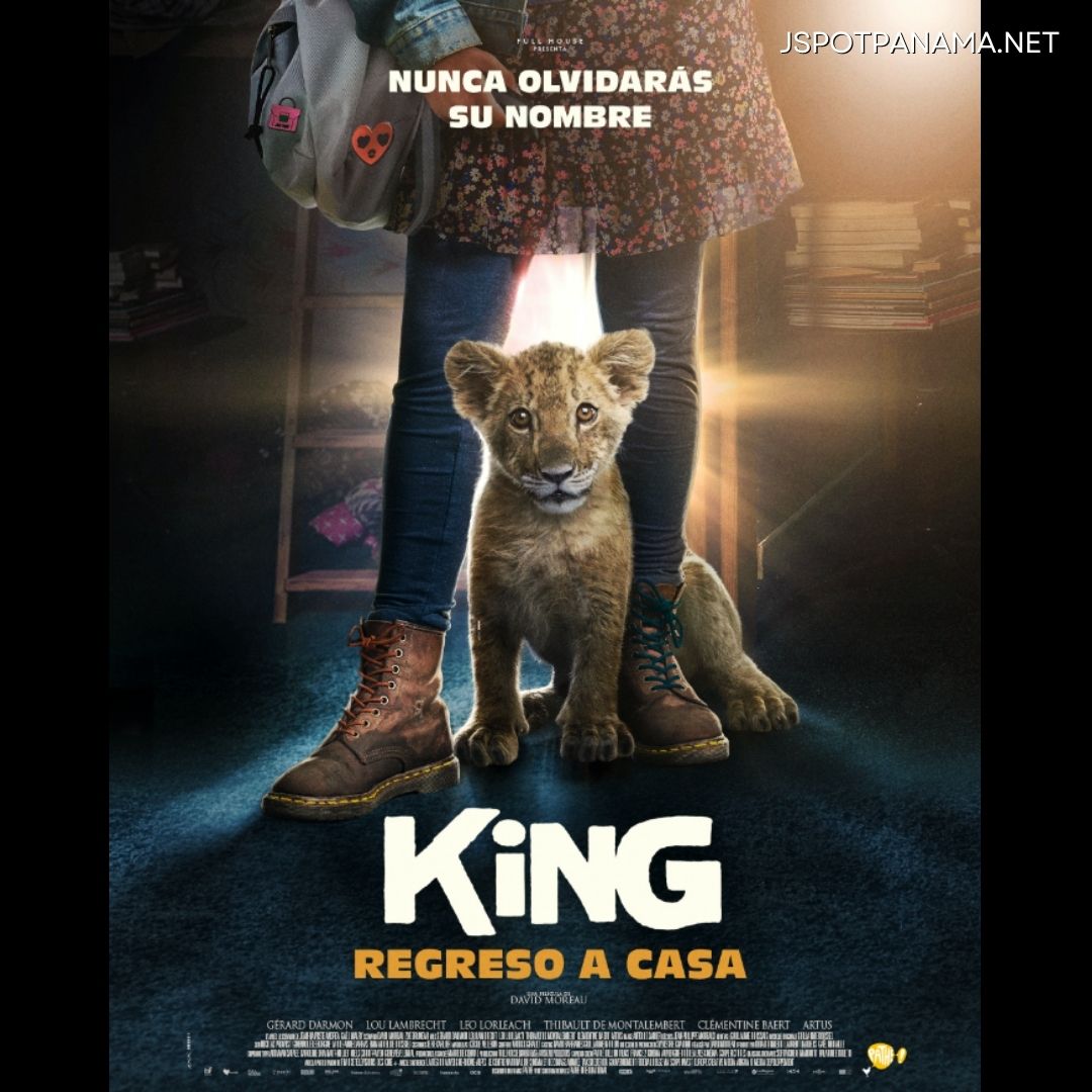 king-regreso-a-casa
