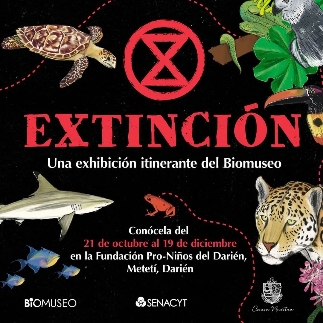 extincion-una-exhibicion-itineraria-del-biomuseo