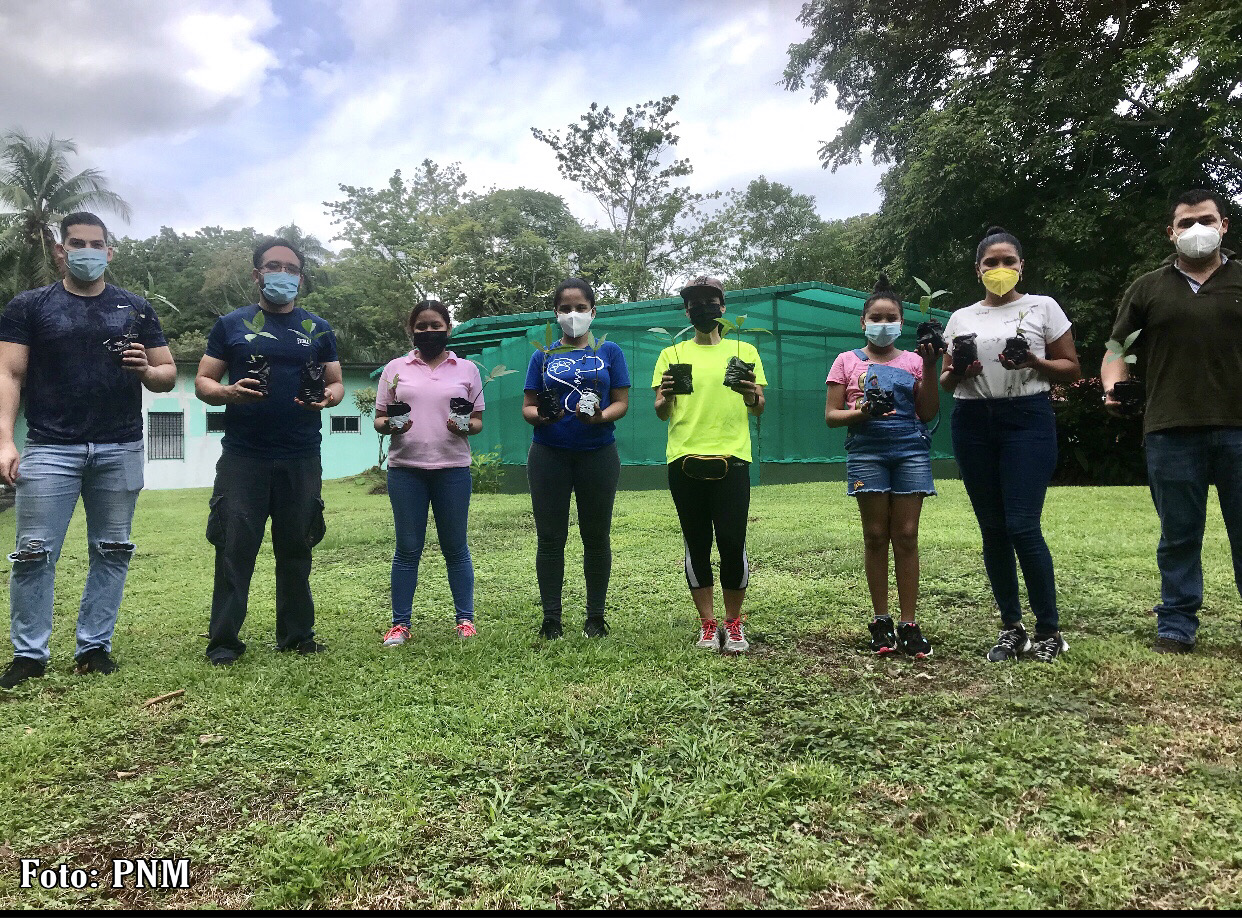 actividad-salva-un-arbol-nativo-regresa-este-ano-en-el-parque-metropolitano