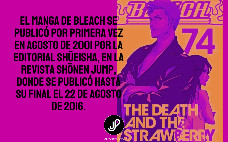 5-anos-del-final-de-bleach